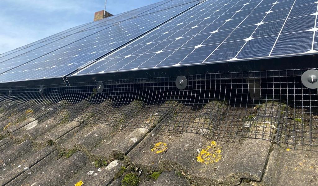 Professional bird and squirrel proofing mesh installation under solar panels